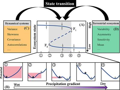 Using the dynamics of productivity and precipitation-use efficiency to detect state transitions in Eurasian grasslands